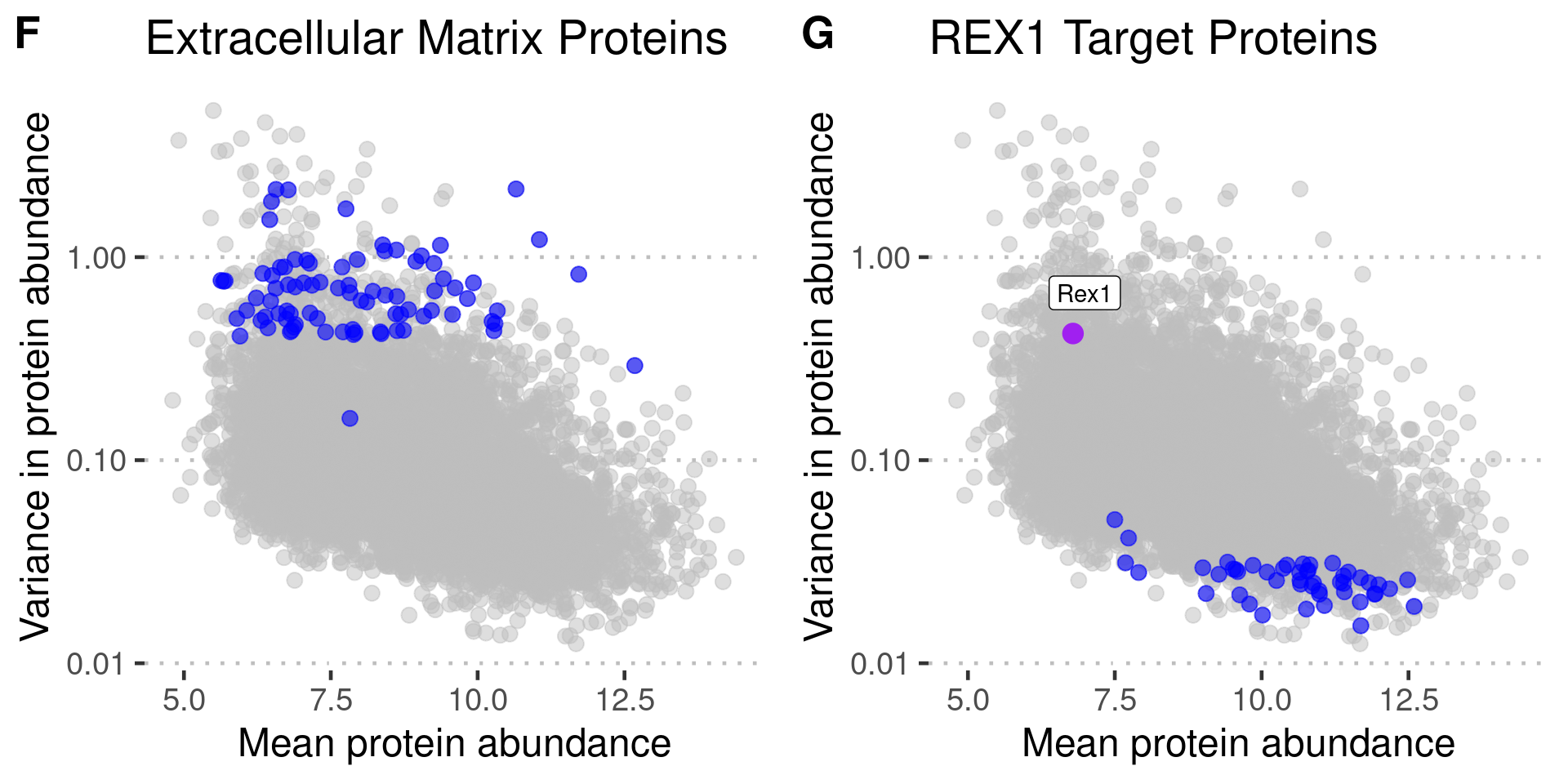FigureS1: (F) Mean abundance and variance plotted for all proteins (gray) with proteins identified as part of `Extracellular region` and `ECM protein` GO Terms in most variable proteins (top 5th percentile %CV), in overrepresentation analysis, highlighted in blue. (G) Mean abundance and variance plotted for all proteins with proteins identified as `REX1 Target` in TRANSFAC database in least variable proteins (bottom 5th percentile %CV), in overrepresentation analysis, highlighted in blue and REX1 (Zfp42) highlighted in purple.